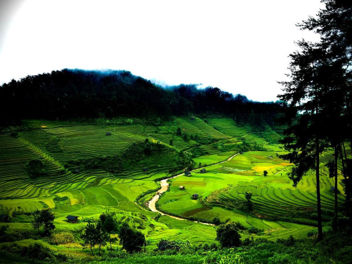 Do Gu Homestay Mu Cang Chai Екстер'єр фото