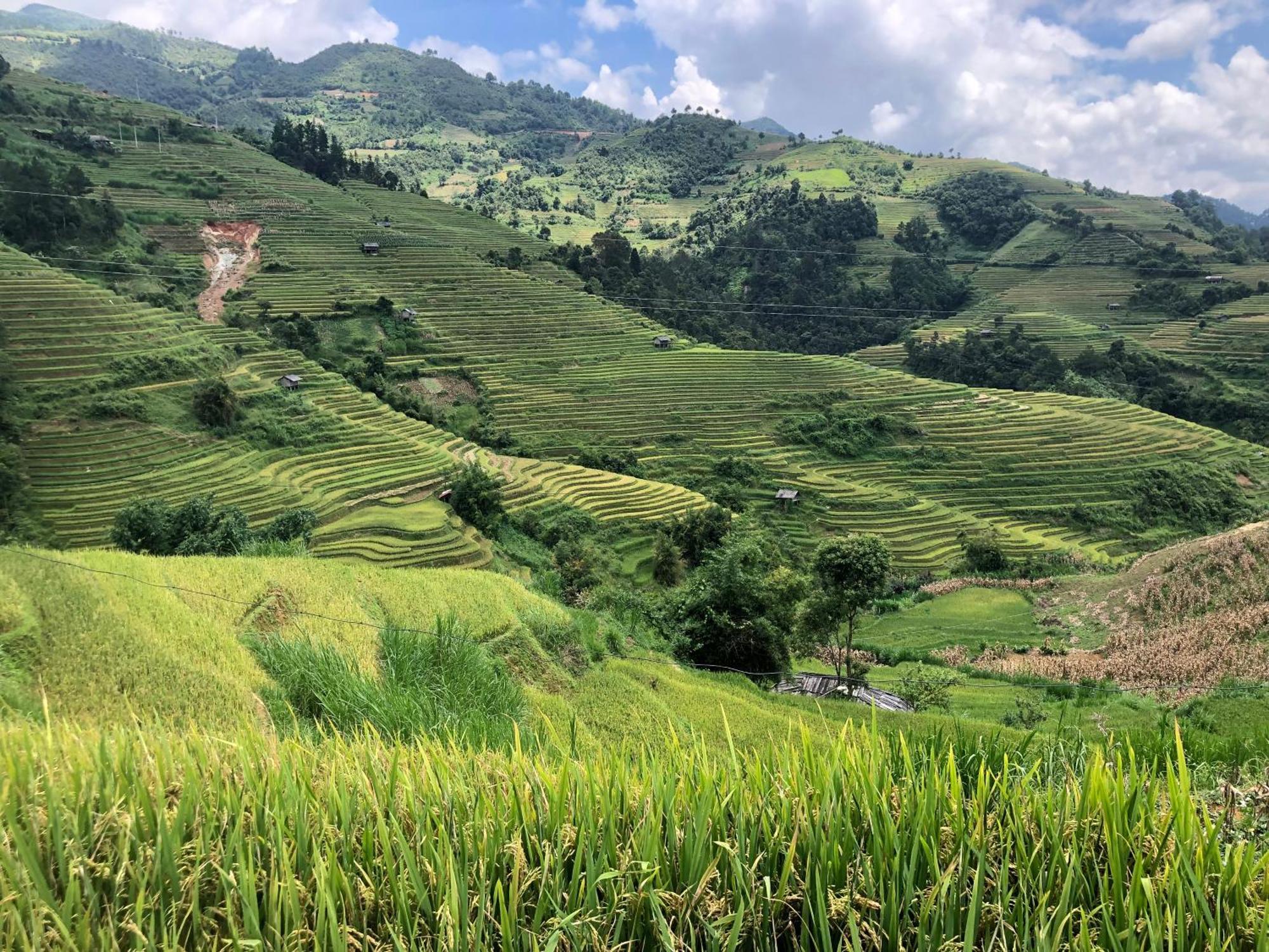 Do Gu Homestay Mu Cang Chai Екстер'єр фото