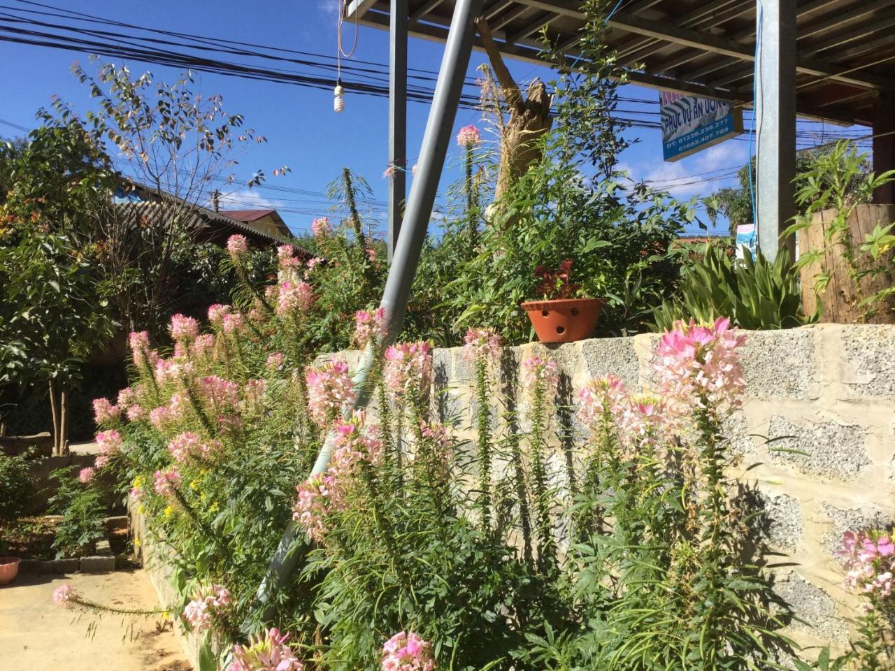 Do Gu Homestay Mu Cang Chai Екстер'єр фото
