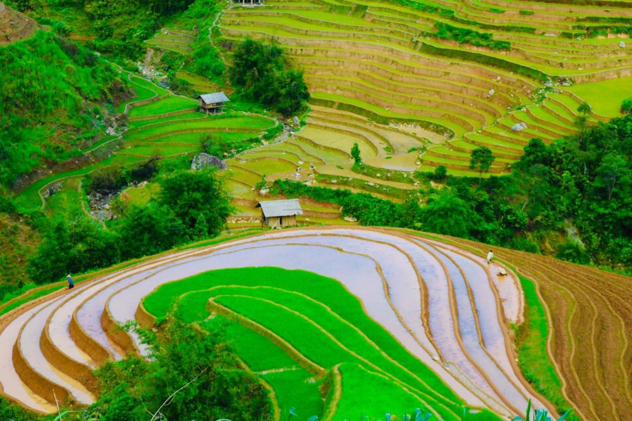 Do Gu Homestay Mu Cang Chai Екстер'єр фото
