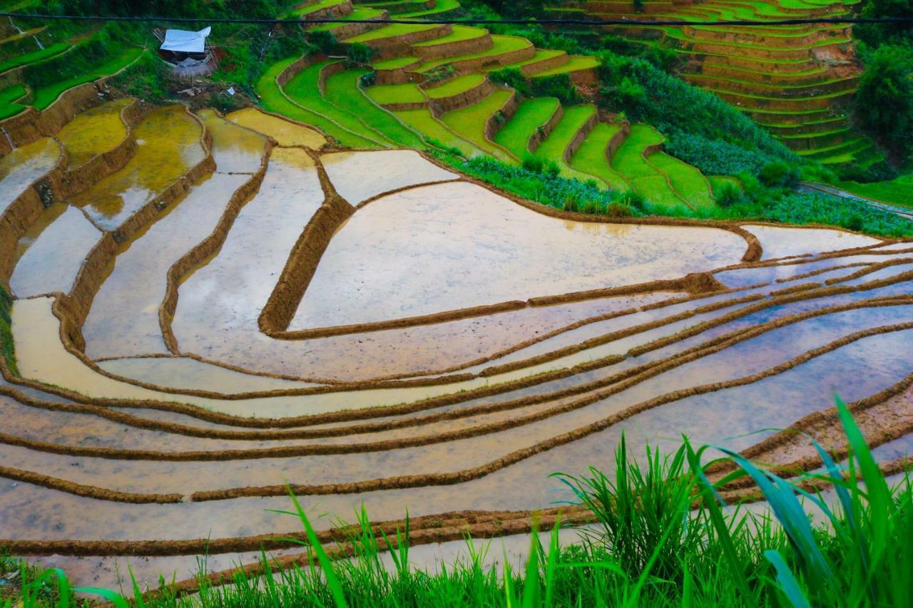 Do Gu Homestay Mu Cang Chai Екстер'єр фото