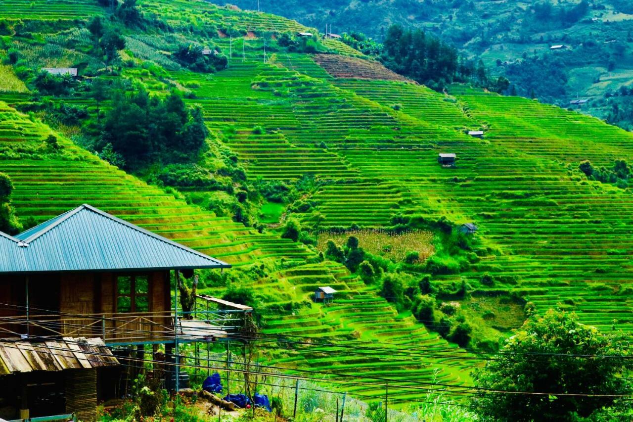 Do Gu Homestay Mu Cang Chai Екстер'єр фото